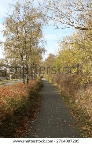 Autumn paths though the trees