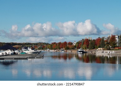 Autumn In Petoskey, Pure Michigan 