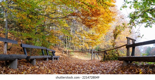 Autumn In The Pieniny National Park
