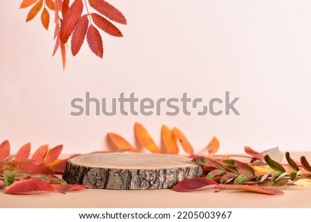 Autumn podium made of natural wood and autumn foliage. The showcase for the presentation of goods and cosmetics is made of wood on a beige background. Minimalistic branding scene