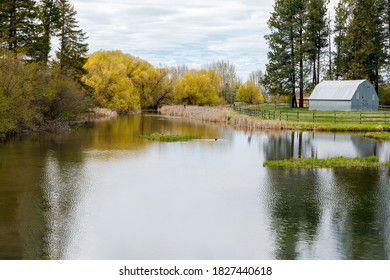 Autumn Pond With Colorful Trees, Metal Storage Shed, And Ducks Swimming In Color Reflected Water