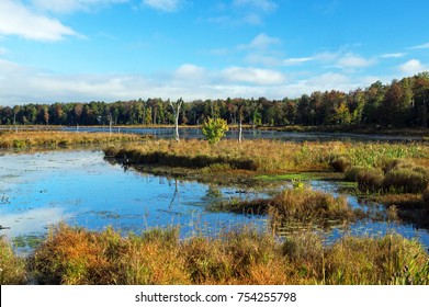 Autumn Ponds At Gouldsboro State Park In Pennsylvania