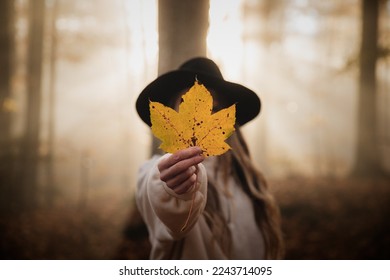 Autumn portrait woman covering her face with yellow maple leaves in the sunny forest.