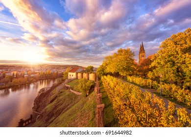 Autumn in Prague, golden sunset at Vyshegrad. Stunning view to the ancient fortress (castle) in the historic district of Prague, travel Europe concept, Czech Republic