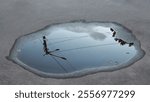 An autumn puddle on the sidewalk with fallen leaves in which a street lamp and part of a tree crown are reflected. Selective focus