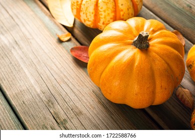 Autumn pumpkin thanksgiving background, assorted pumpkins over green wooden table. Copy space.