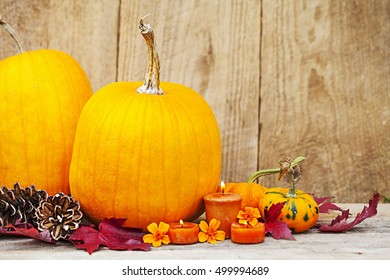 Autumn Pumpking Thankgiving Decoration Card