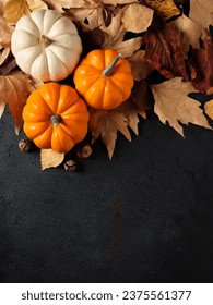 Autumn pumpkins and autumn leaves on black background with copy space for text. Greeting and celebration background. - Shutterstock ID 2375561377