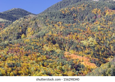 Autumn In The Pyrenees Mountains, Spain