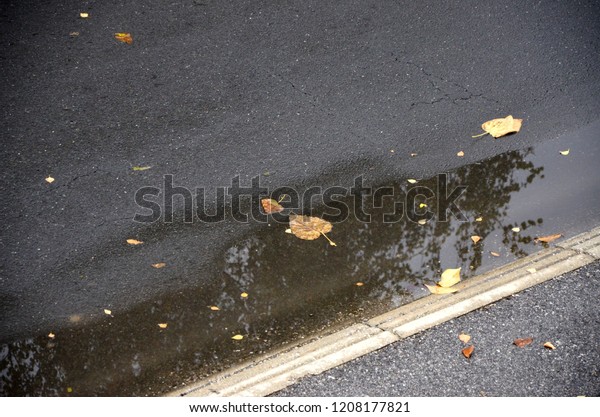 autumn rain\
street