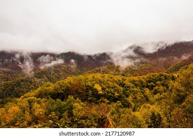 Autumn Rainy Day In La Garrotxa, Spain.