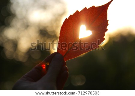 Autumn red leaf with cut heart in a hand