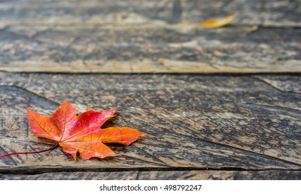 Autumn Red Maple Leaf On Wooden Textured Road Background In The Park. Autumn Decorative Background Concept.