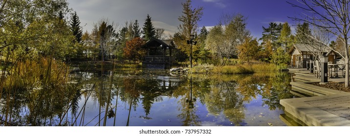 Autumn Reflection