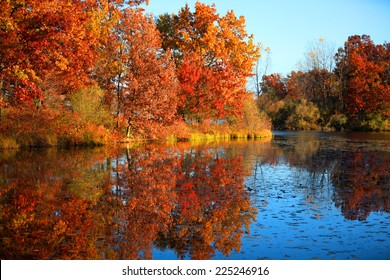 Autumn reflections - Powered by Shutterstock