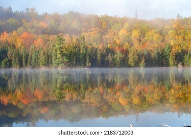 Autumn Reflections Over Calm Lake In Boundary Waters Canoe Area Wilderness