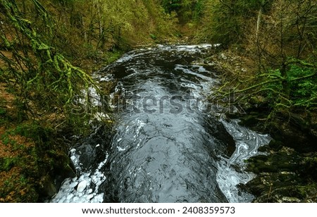 Autumn river in a deep forest. Forest river in autumn. Deep forest river in autumn. Autumn water of forest river