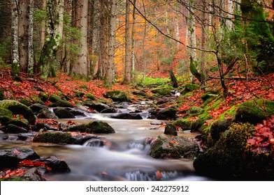 Autumn River In The Mountains