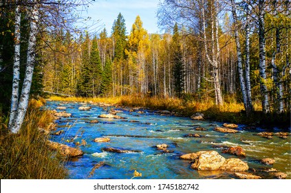 Autumn river on golden autumn landscape - Powered by Shutterstock