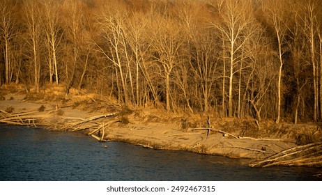 Autumn riverbank with bare trees reflecting in calm water under warm evening light - Powered by Shutterstock