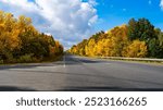 Autumn road with beautiful yellow trees on the roadside.