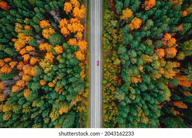 Autumn Road In Forest, Concept Of Trip By Red Car Aerial Top View.