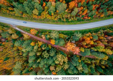 Autumn Road In Forest, Concept Of Trip By Red Car Aerial Top View.