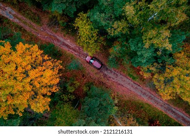 Autumn Road In Forest, Concept Of Trip By Red Car Aerial Top View.