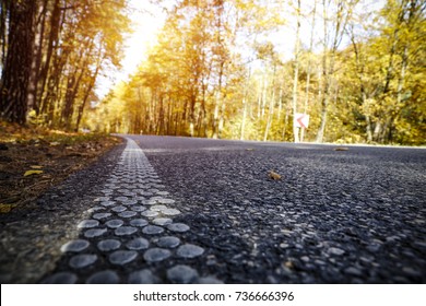 autumn road and free space 