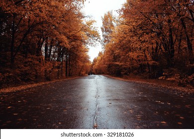 Autumn Road Landscape