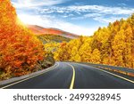 autumn road landscape in beautiful nature travel. autumn colors in mountain road scenery. autumn landscape on the highway in colorful forest. nature trip in fall. highway landscape on fall season.