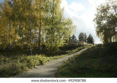 autumn road in the mountain among the Golden birches on a fitness marathon
