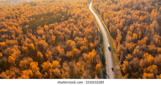 An Autumn Road Stretching Away To The Horizon. Autumn Forest Landscape With Orange Foliage Aerial Drone Top, Atmospheric Mood Panorama