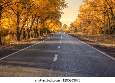 Autumn road at sunset