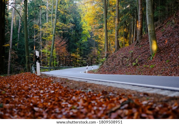 Autumn\
Road view. Autumn beautiful nature landscape. Autumn travel and\
trips. Fall season. autumn nature wallpaper.Asphalt track in a  \
forest. Travel and hiking in the fall season\
	