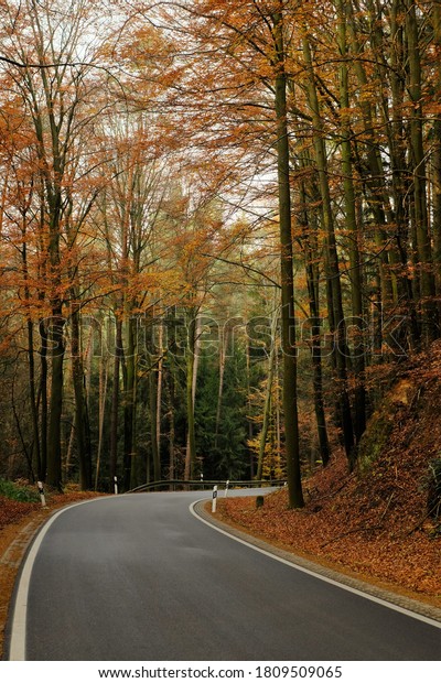 Autumn Road view.
Autumn beautiful nature landscape. Autumn travel and trips. Fall
season. autumn nature wallpaper.Asphalt track in a bright  forest.
Travel and hiking