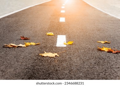 Autumn Road with Yellow Fall Leaves, Bike Path, Walkway. Autumn is Coming. - Powered by Shutterstock