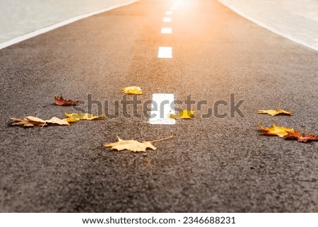Autumn Road with Yellow Fall Leaves, Bike Path, Walkway. Autumn is Coming.