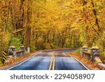 Autumn roads in Pisgah National Forest, North Carolina, USA.