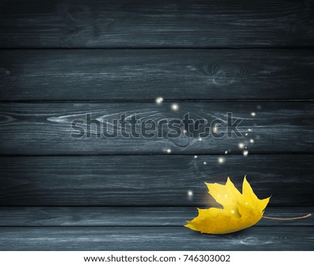 Similar – Image, Stock Photo Close-up of some isolated yellow leaves of rosa rubiginosa with a blurred background of nature