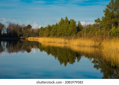 Autumn rural lake water reflection. Lake water reflecton in autumn. Autumn lake reflection. Autumn lake landscape.Blue sky and white clouds.