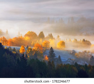 Autumn rural landscape. Natural landscape. The lawn is enlightened by the sun rays. Fantastic scenery with morning fog. Green meadows in frost. Picturesque resort Carpathians valley, Ukraine, Europe. - Powered by Shutterstock