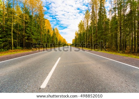 Autumn rural road running through a forest. Close up view from the center of the road