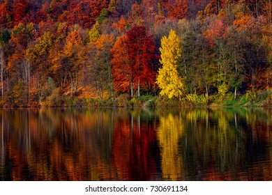 Autumn In The Sauerland