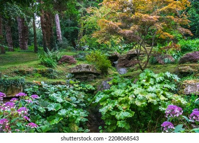 Autumn Scene In Batsford Arboretum And Garden Centre In Cotswolds, England