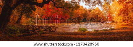Autumn scene at the lake in park, Lipnik (Teketo) park, Nikolovo village area, Ruse district, Bulgaria