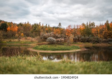 Autumn Scene In A Nature Reserve With A Pond And Island In The Middle Of Lake Gorgeous Orange Colours Leaves Falling In The Fall Wildlife Reflections In River Water Plants Serene Deserted