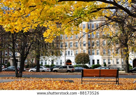autumn scene of park near Fenway street, Boston, US. Empty bench and ground covered with fallen maple leaves.