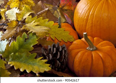 Autumn Scene With Pumpkins