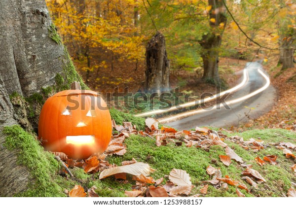 Autumn scene with scary orange pumpkin sat next to a\
tree and road. Long exposure car lights in the background with\
fallen autumn leaves 